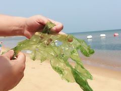 -林海公园