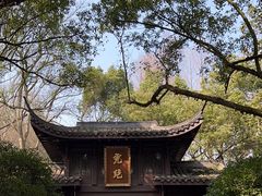 -虎跑公园