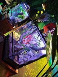 -酷嗒动物文化乐园(cutezoo西溪乐天城店)