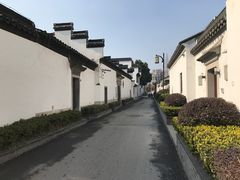-老太皮肚面