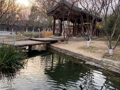 -春风习习