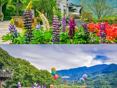 -篁岭景区