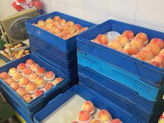 -老袁家蜜桃农场·阳山水蜜桃