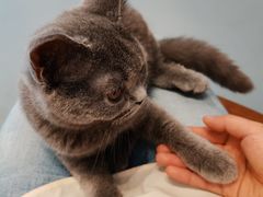 -猫友咖啡店(玉林西路店)