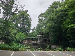 -天怡·鱼工厂(梅溪湖店)