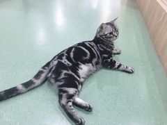 -藦茜花园宠物主题亲子互动体验馆(国顺东路店)