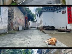 -西溪南古村落景区