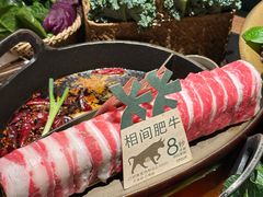 -大龙燚·旷野鲜火锅(广州首店)