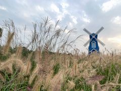 -铁山坪森林公园