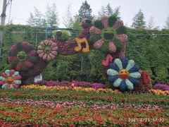 -丰台花园