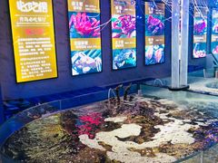 水产区-蟹之国·精品蟹料理(极地店)