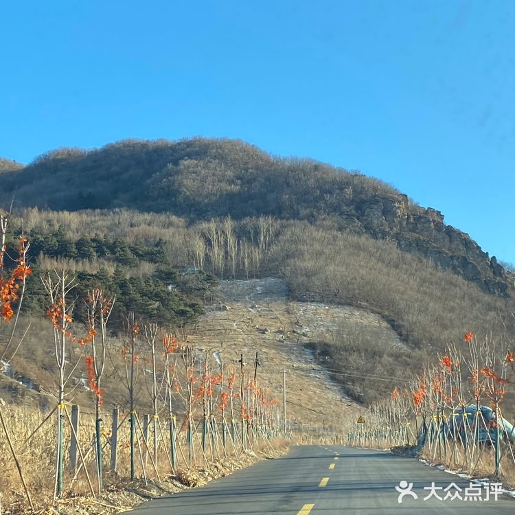 乡村爱情