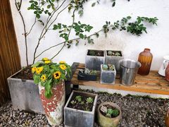 -云里小坐·小院里·团建·宴请·下午茶(三圣乡店)