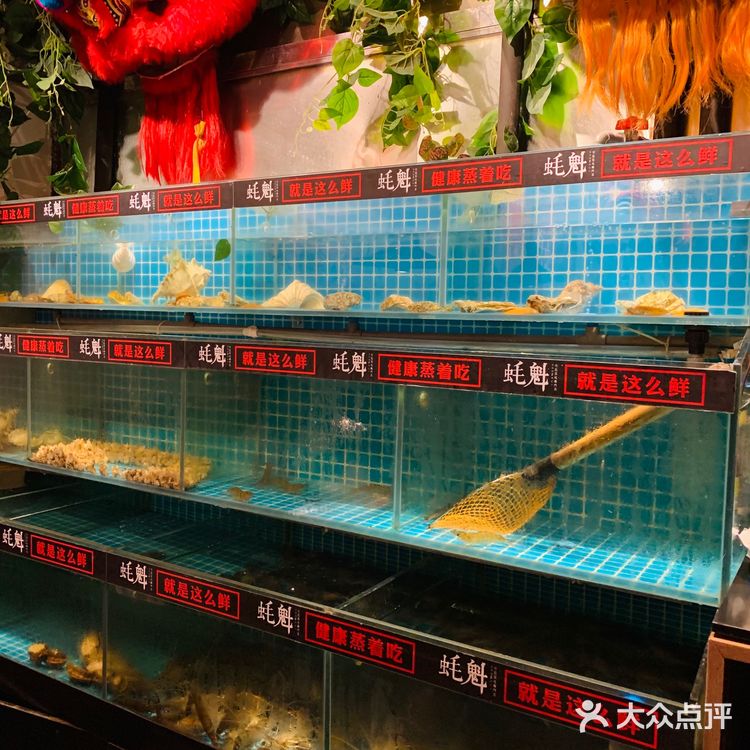 北京路火爆海鲜大餐!生蚝plus随便吃!
