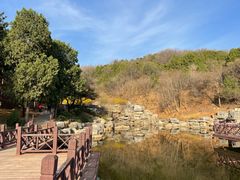 -北京西山国家森林公园