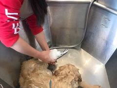 -PETKIT小佩宠物(古北店)