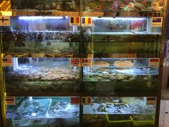 水产区-桥东喜碧海鲜街(水东街店)