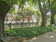 -晓港公园