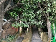 -吉林省自然博物馆