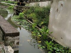 -广东紫坭糖厂(桥头路)