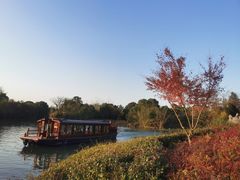 -西溪国家湿地公园