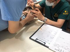 -御宝贝24h宠物医院·转诊中心·CT核磁血透中心(厦门总院)