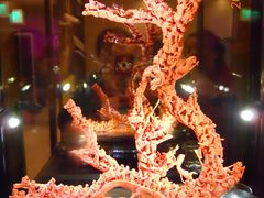 -绮丽珊瑚(台北101旗舰门市店)