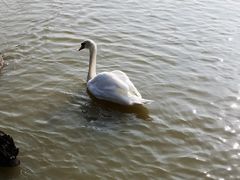 -池杉湖湿地公园