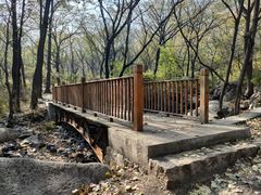 -云岫谷游猎自然风景区