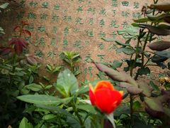 -鹅湖玫瑰文化园