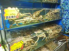 -蚝专家(北滘店)