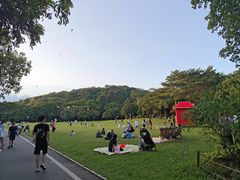 -莲花山公园
