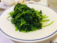 清炒菠菜-同庆楼(滨湖万达广场店)