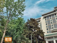 -武汉大学图书馆·文理学部总馆