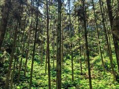 -崀山风景名胜区