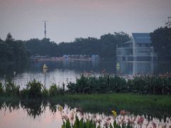 -东莞市大岭山森林公园