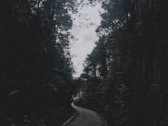 -红山村