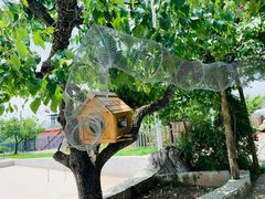 -丽泽山庄·生态怀柔菜·虹鳟鱼(红螺寺店)