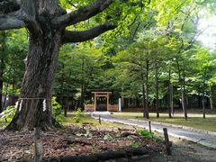 -北海道神宫
