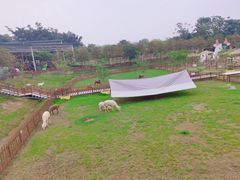 -盈香心动乐园