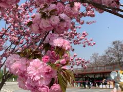 -古柏渡飞黄旅游区