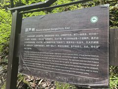 -牛背梁国家森林公园