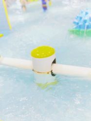 点击看大图 -宝燕乐园(闵行旗舰店)