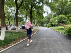 -平湖九龙山旅游度假区