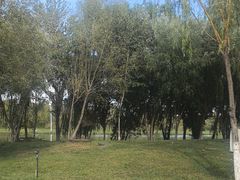 -伊犁河景区