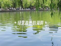 -翠湖公园