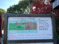 -上海海湾国家森林公园