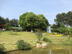 -铁山坪森林公园