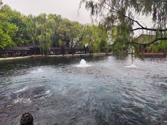 -百脉泉景区