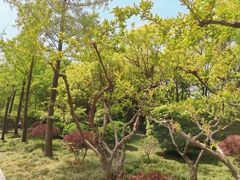 -唐城墙遗址公园